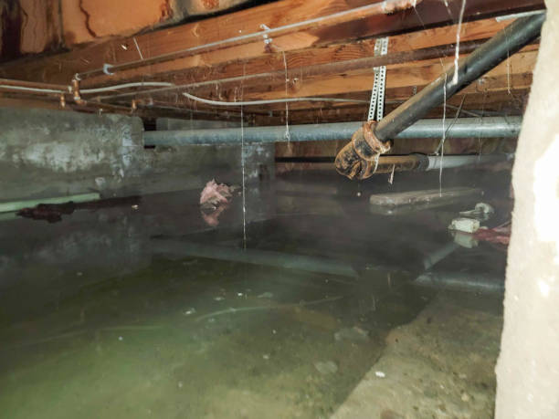 Best Sewage cleanup and water damage restoration  in Ojai, CA