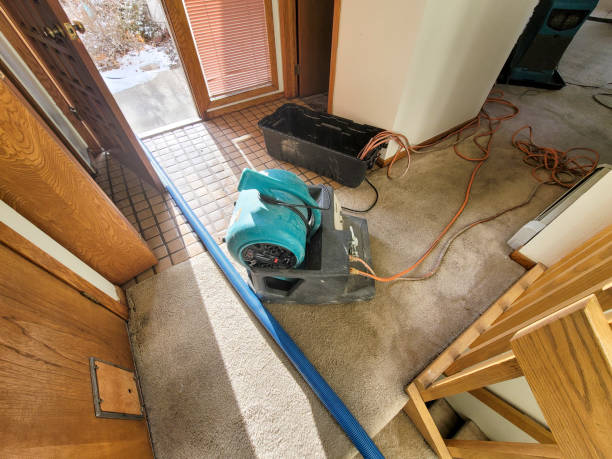 Best Carpet water damage restoration  in Ojai, CA