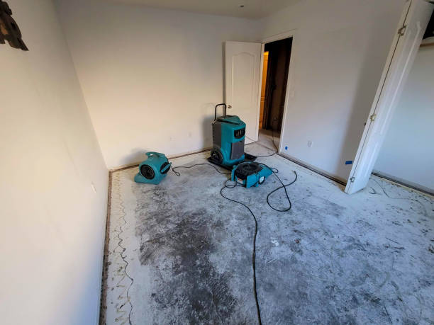 Best Commercial water damage restoration  in Ojai, CA