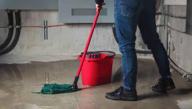 Best 24/7 water damage repair  in Ojai, CA
