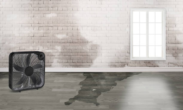 Best Flood restoration services  in Ojai, CA