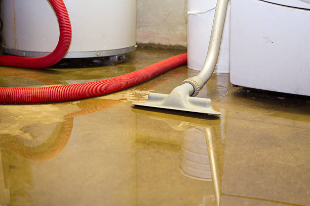 Best 24-hour water damage restoration  in Ojai, CA