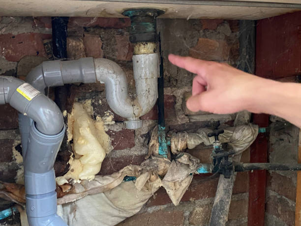 Best Flooded house restoration  in Ojai, CA