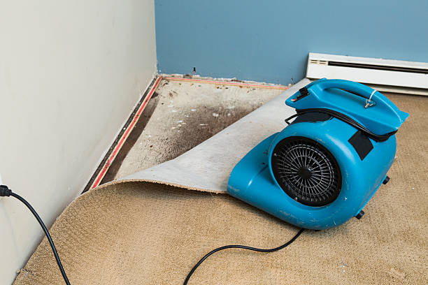 Ojai, CA Water damage restoration Company